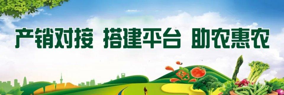 襄阳新发地组织采购本地农产品驰援武汉